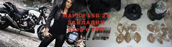 кокс Алзамай