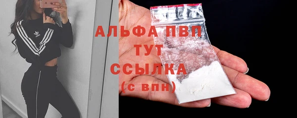 мяу мяу мука Михайловск