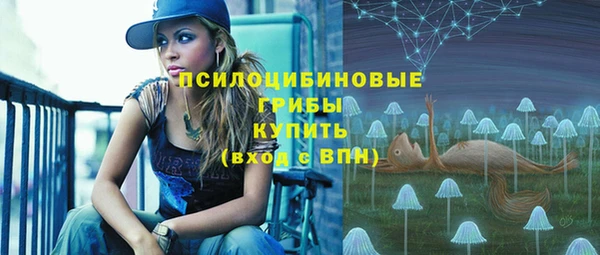 кокс Алзамай