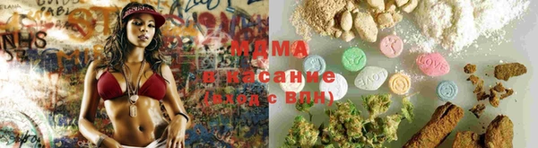 PSILOCYBIN Михайлов